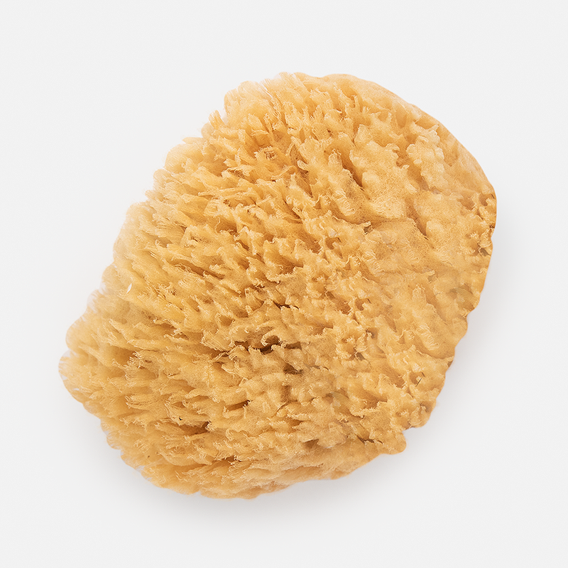Mediterranean Wool Sponges