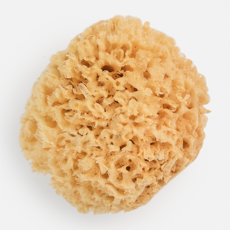 Mediterranean Wool Sponges